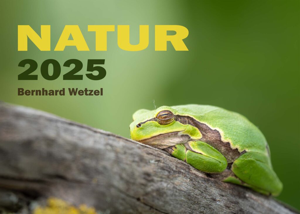 Deckblatt Naturkalender 2025